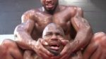 brute force 13
