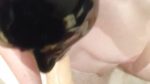 Forcing my slave to suck my used strap on clean