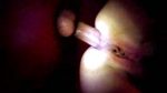 Gloryhole Filth Extended Cut
